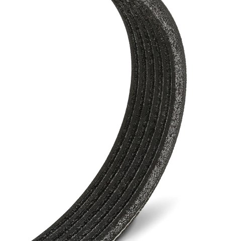Ridex 305P0581 Serpentine Belt, photo 3