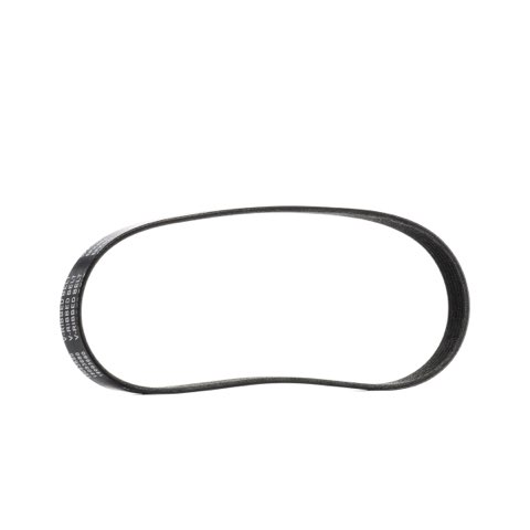 Ridex 305P0607 Serpentine Belt, photo 2