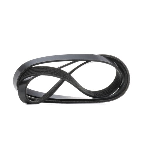 Ridex 305P0629 Serpentine Belt, photo 2