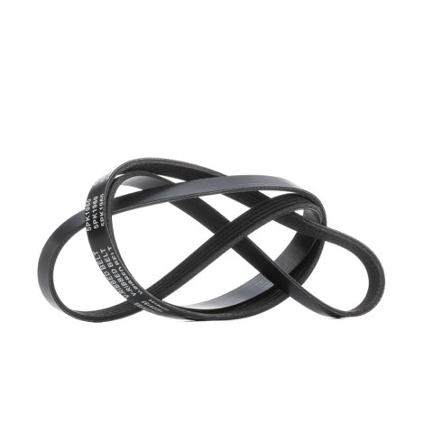 Ridex 305P0633 Serpentine Belt, photo 2