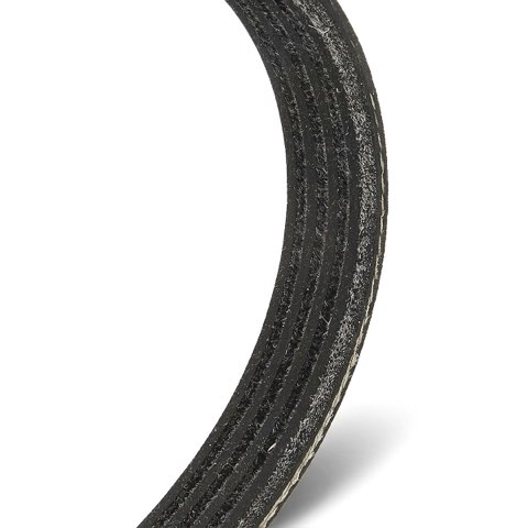Ridex 305P0843 Serpentine Belt, photo 3