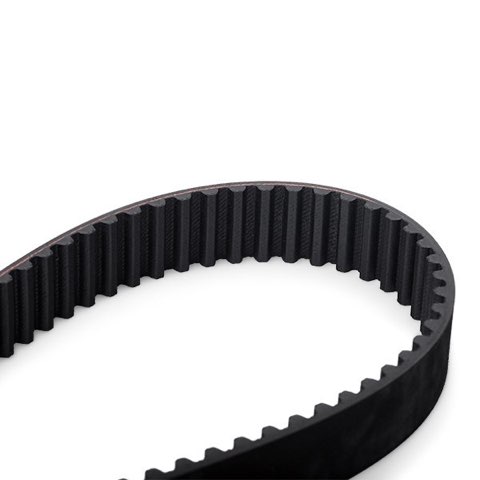 Ridex 306T0016 Timing Belt, photo 3