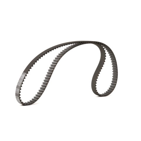 Ridex 306T0019 Timing Belt