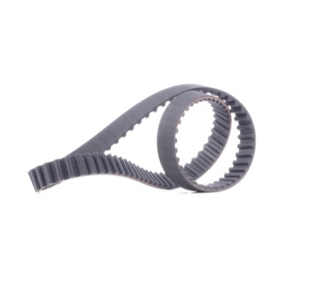 Ridex 306T0062 Timing Belt