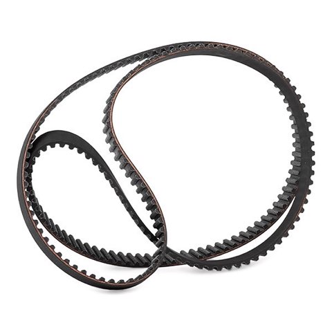 Ridex 306T0071 Timing Belt, photo 3