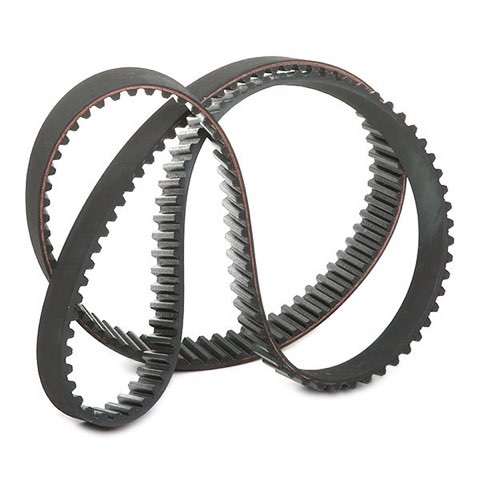 Ridex 306T0167 Timing Belt, photo 3