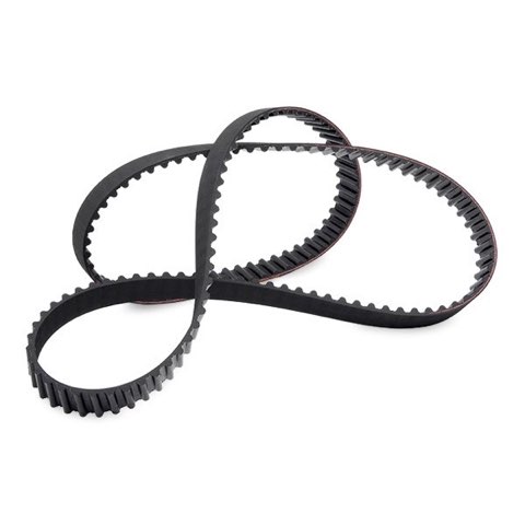 Ridex 306T0181 Timing Belt, photo 3