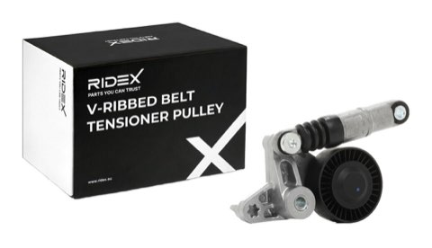 Ridex 310T0113 Tensioner Pulley, photo 2