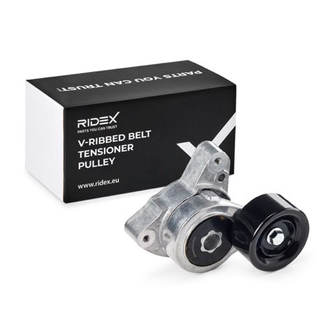 Ridex 310T0173 Tensioner Pulley, photo 2