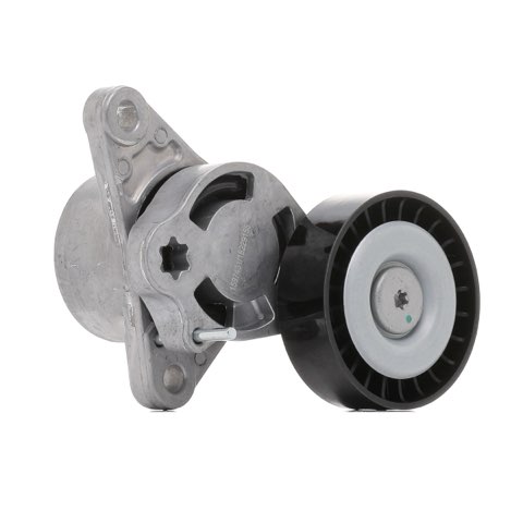 Ridex 310T0648 Tensioner Pulley, photo 2