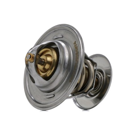 Ridex 316T0002 Thermostat