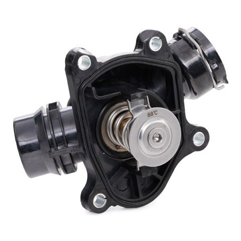 Ridex 316T0004 Thermostat, photo 3