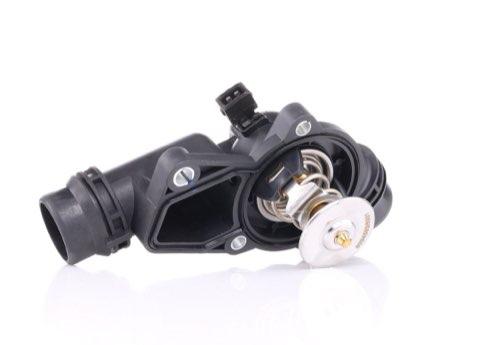 Ridex 316T0005 Thermostat