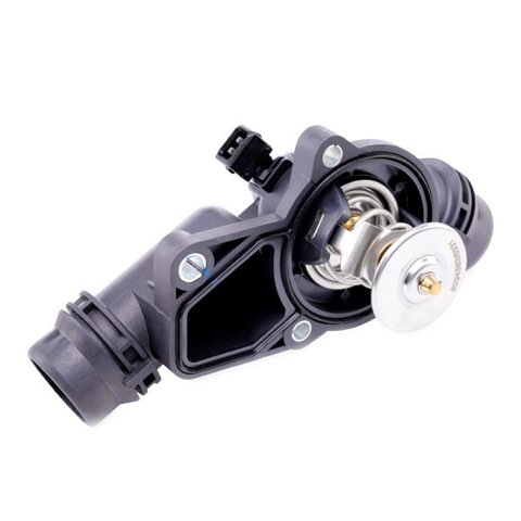 Ridex 316T0005 Thermostat, photo 3