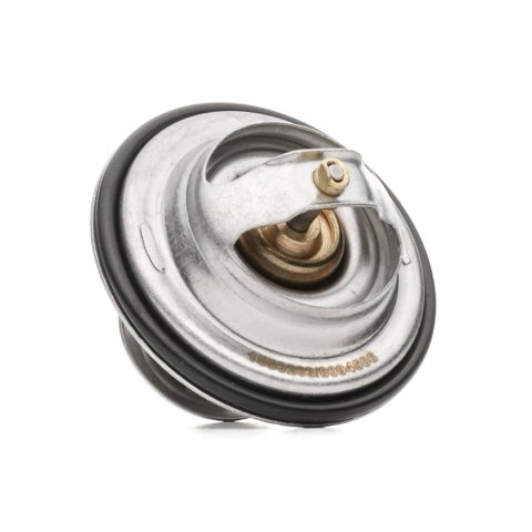 Ridex 316T0008 Thermostat