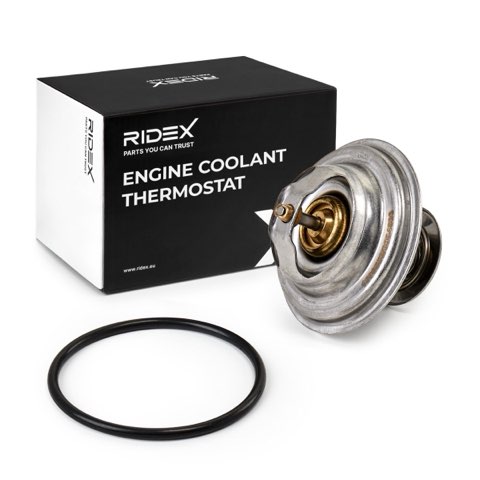 Ridex 316T0008 Thermostat, photo 2