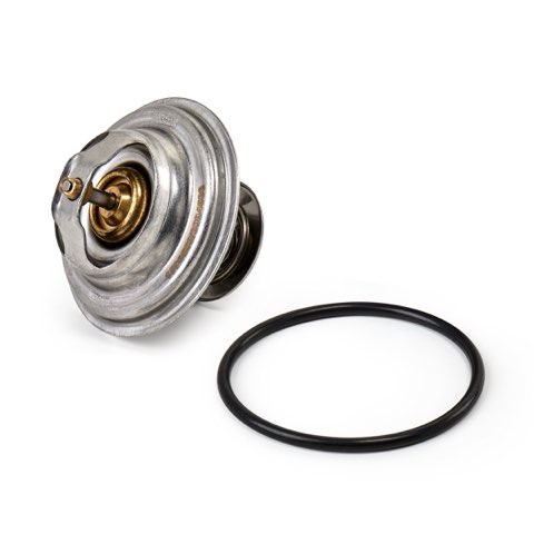 Ridex 316T0008 Thermostat, photo 3
