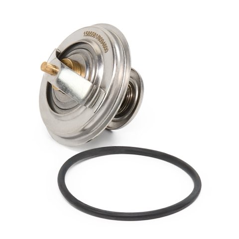 Ridex 316T0010 Thermostat, photo 3
