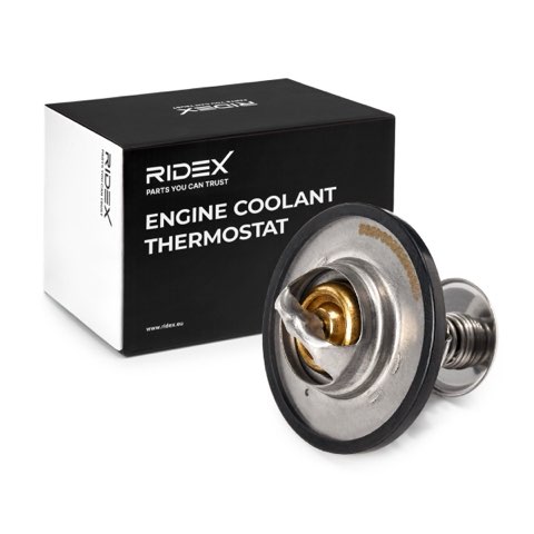 Ridex 316T0011 Thermostat, photo 2