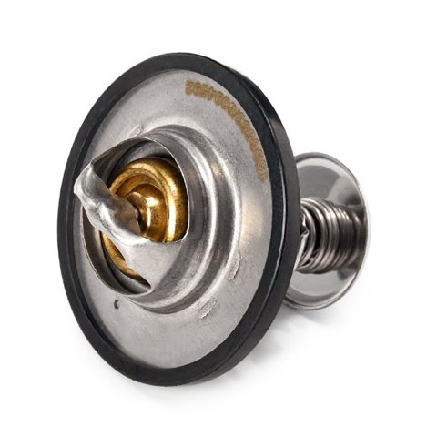 Ridex 316T0011 Thermostat, photo 3