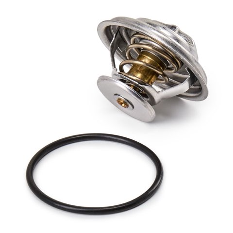Ridex 316T0012 Thermostat, photo 3