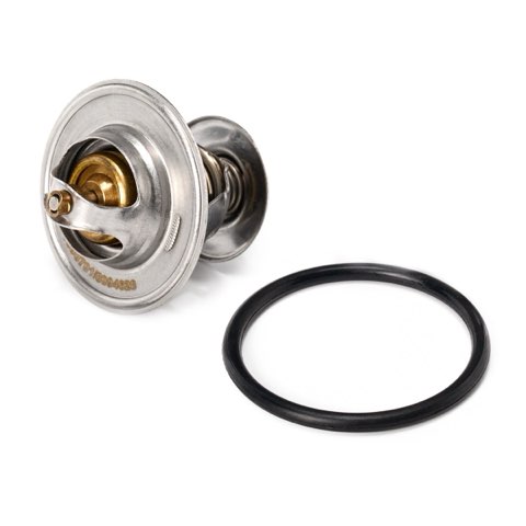 Ridex 316T0016 Thermostat, photo 3