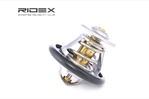 Ridex 316T0017 Thermostat