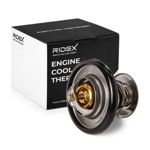 Ridex 316T0017 Thermostat, photo 2