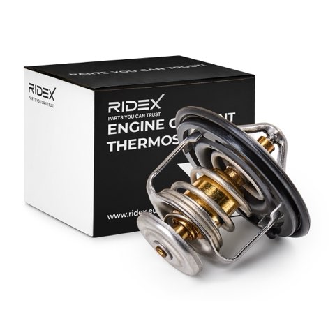 Ridex 316T0018 Thermostat, photo 2