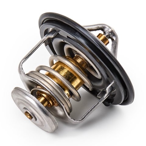 Ridex 316T0018 Thermostat, photo 3