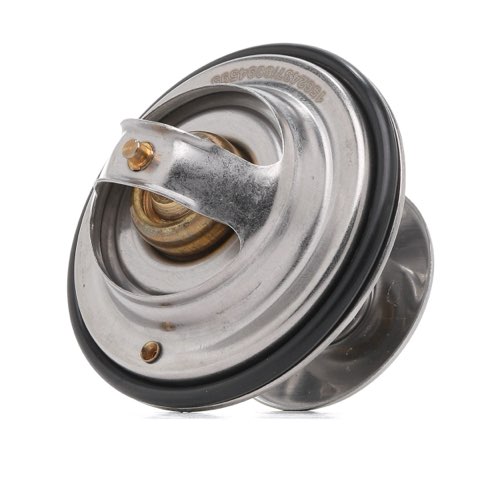 Ridex 316T0019 Thermostat