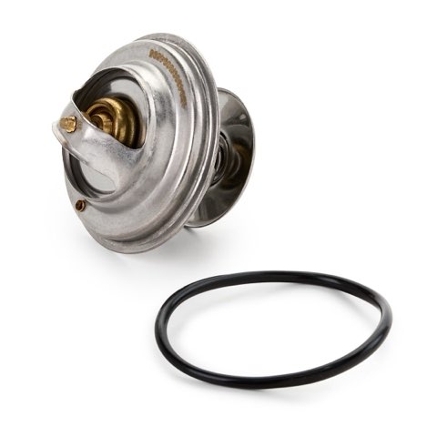 Ridex 316T0019 Thermostat, photo 3