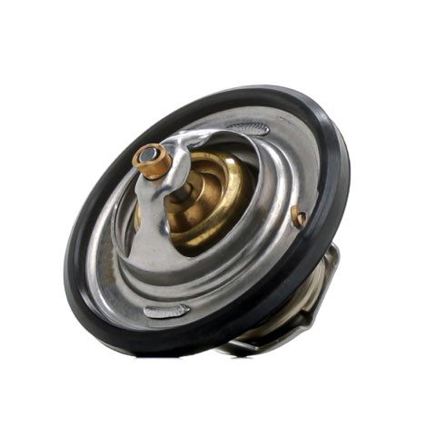 Ridex 316T0020 Thermostat
