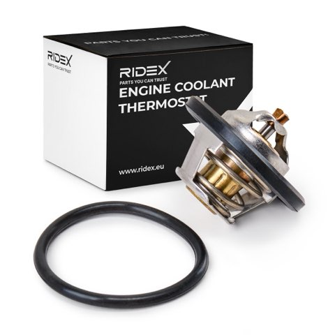 Ridex 316T0020 Thermostat, photo 2