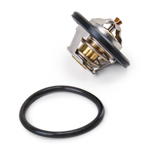 Ridex 316T0020 Thermostat, photo 3