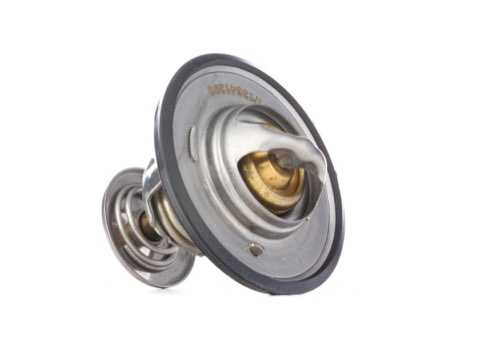 Ridex 316T0021 Thermostat