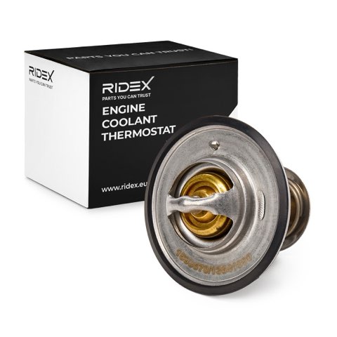 Ridex 316T0021 Thermostat, photo 2