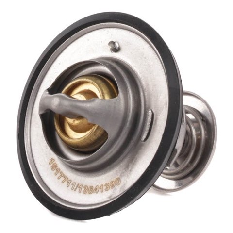 Ridex 316T0021 Thermostat, photo 3