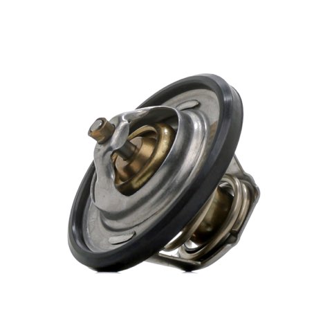 Ridex 316T0026 Thermostat