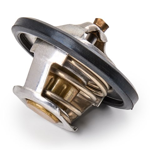 Ridex 316T0026 Thermostat, photo 3