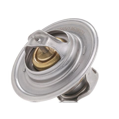 Ridex 316T0028 Thermostat