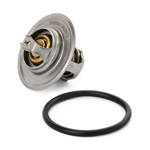 Ridex 316T0028 Thermostat, photo 3