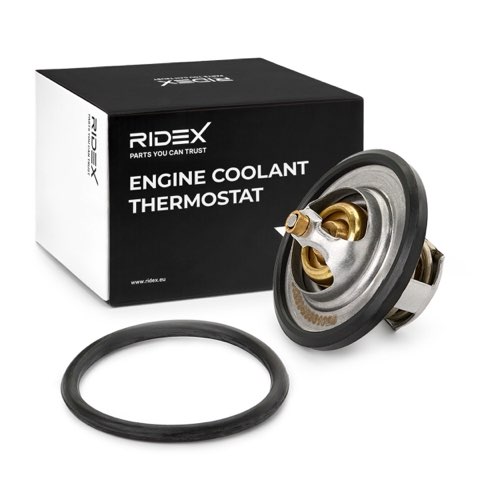 Ridex 316T0029 Thermostat, photo 2