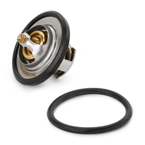 Ridex 316T0029 Thermostat, photo 3