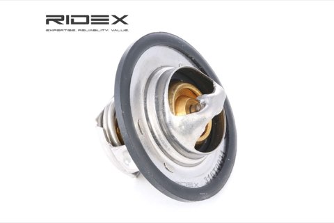 Ridex 316T0031 Thermostat