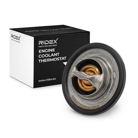 Ridex 316T0031 Thermostat, photo 2