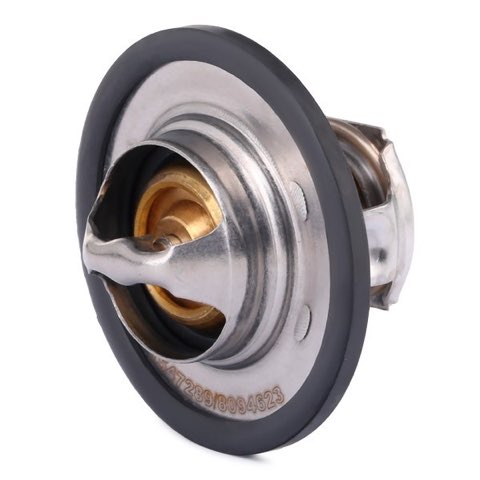 Ridex 316T0031 Thermostat, photo 3