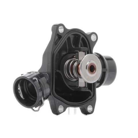 Ridex 316T0038 Thermostat