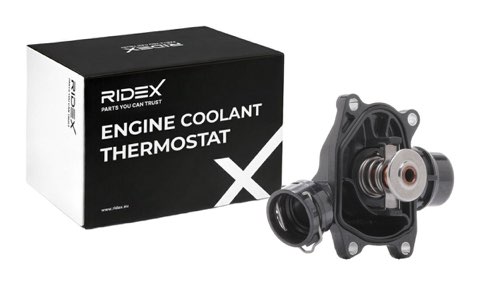 Ridex 316T0038 Thermostat, photo 2