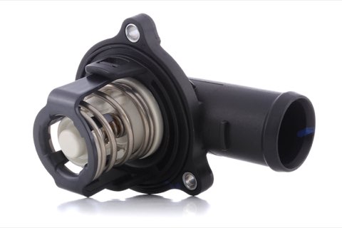Ridex 316T0040 Thermostat
